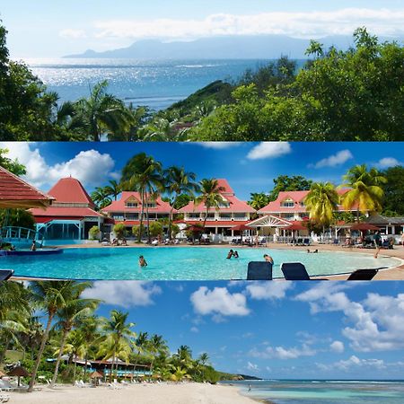 Studio Olia A P&V - Plages, Piscines Et Vue Mer! Sainte-Anne  Luaran gambar