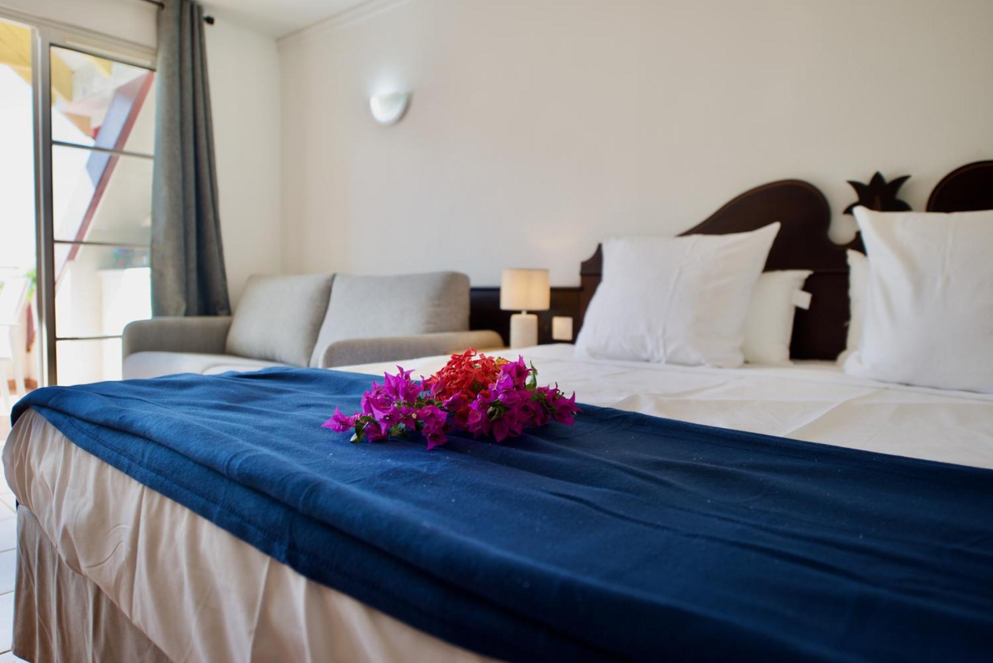 Studio Olia A P&V - Plages, Piscines Et Vue Mer! Sainte-Anne  Luaran gambar
